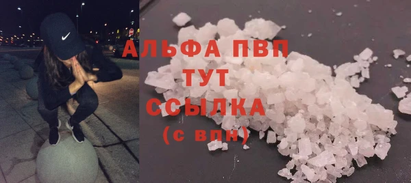 гидра Семилуки