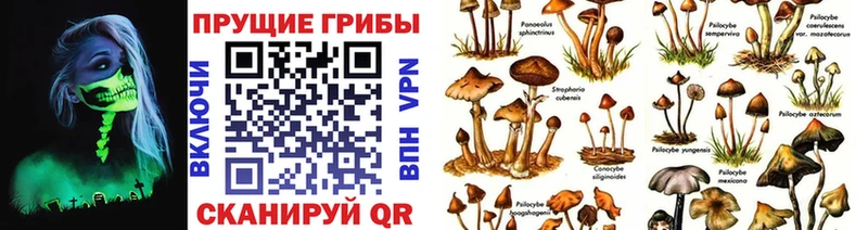 Псилоцибиновые грибы GOLDEN TEACHER  Зерноград 
